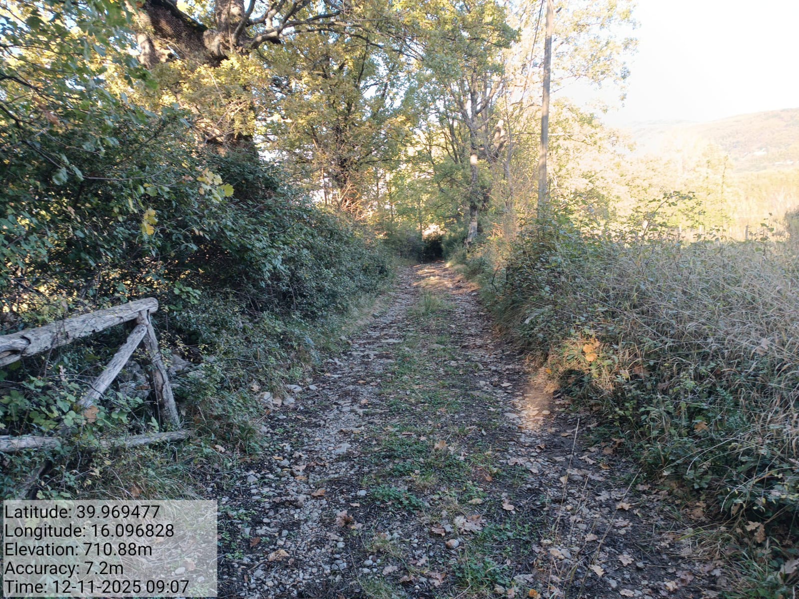 Galleria Fotografica Immagine