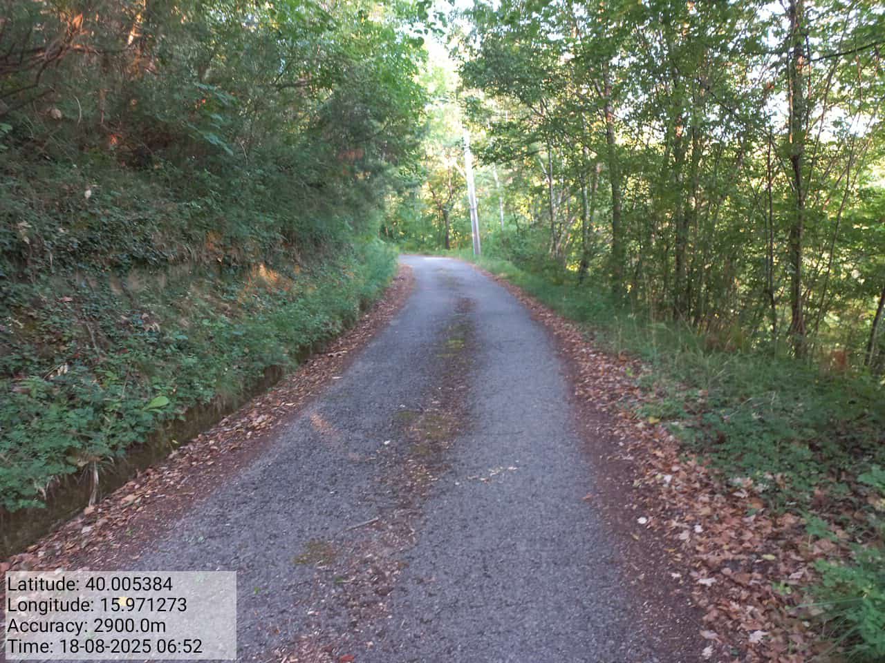 Galleria Fotografica Immagine