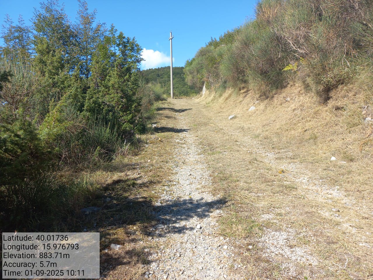 Galleria Fotografica Immagine