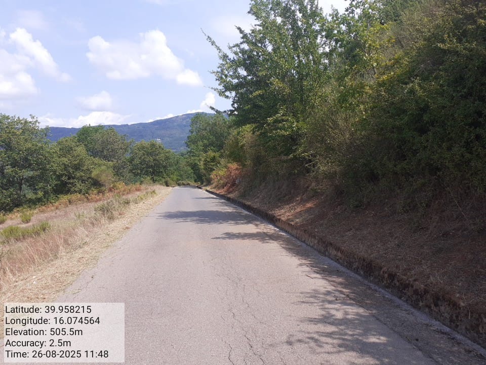 Galleria Fotografica Immagine