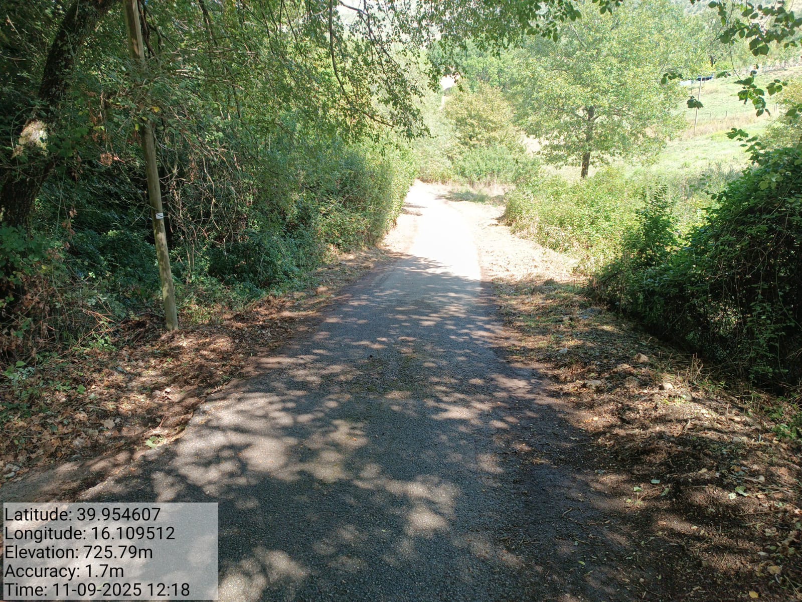 Galleria Fotografica Immagine