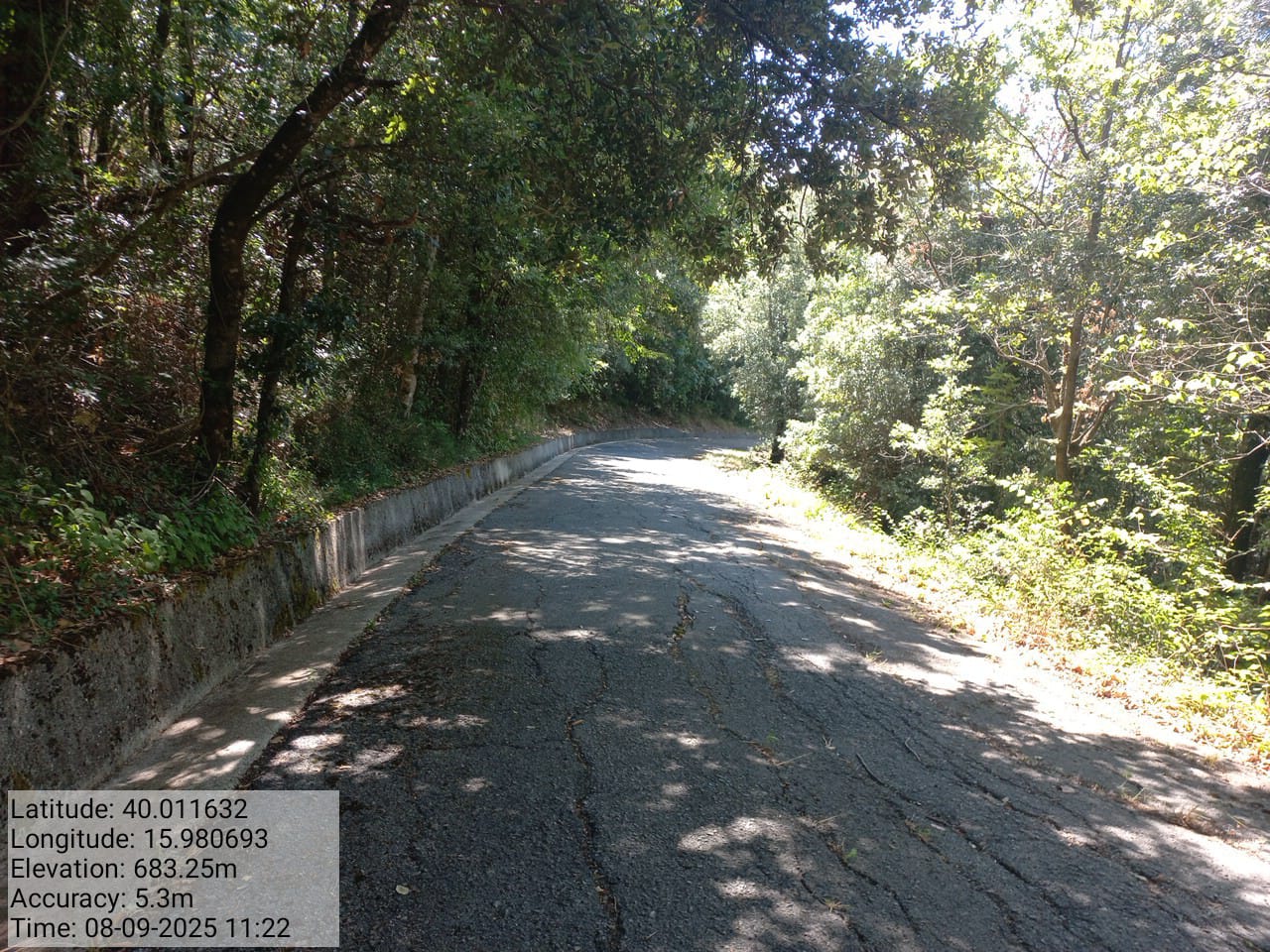 Galleria Fotografica Immagine