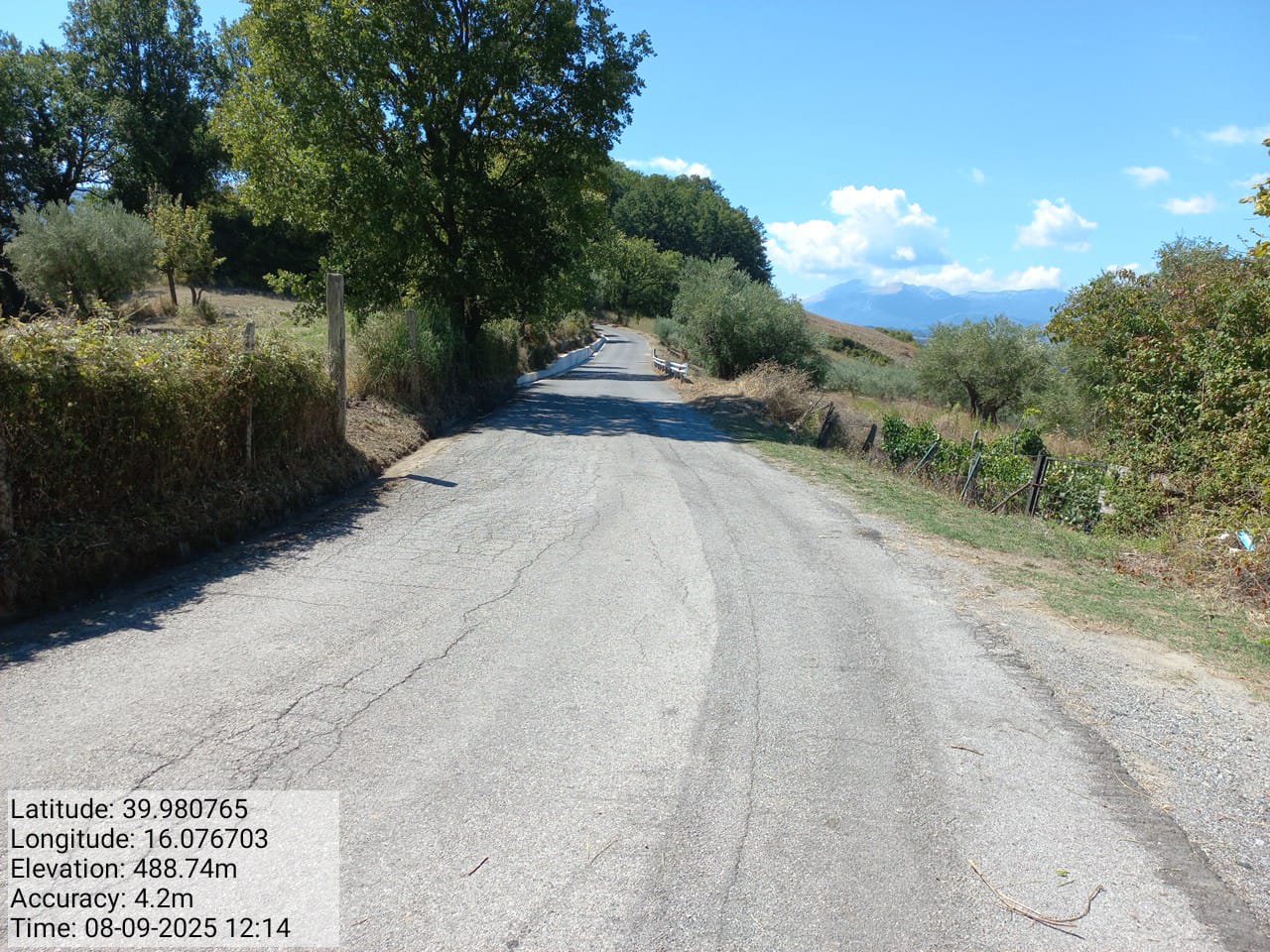 Galleria Fotografica Immagine