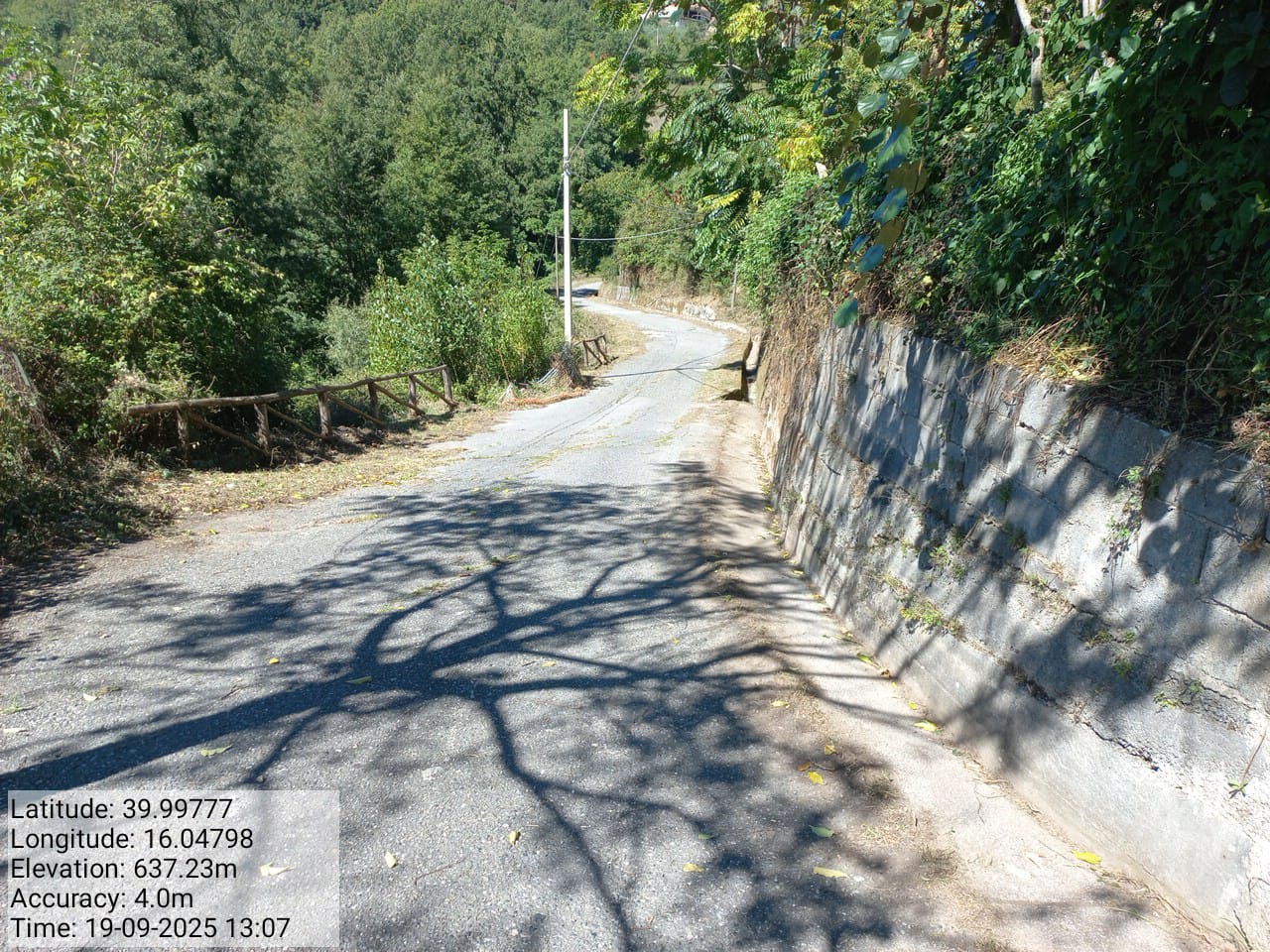 Galleria Fotografica Immagine