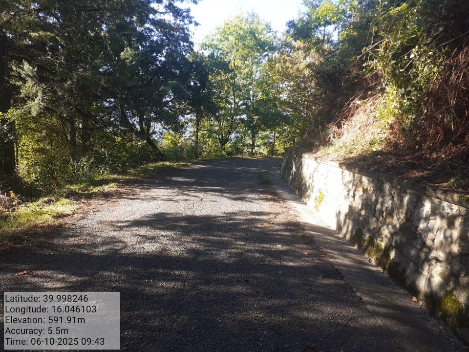 Galleria Fotografica Immagine