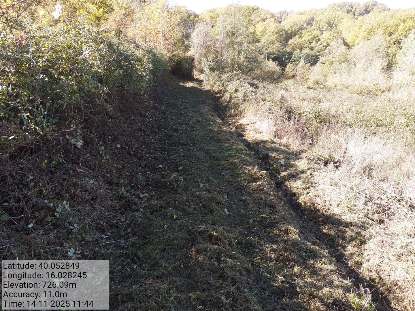 Galleria Fotografica Immagine