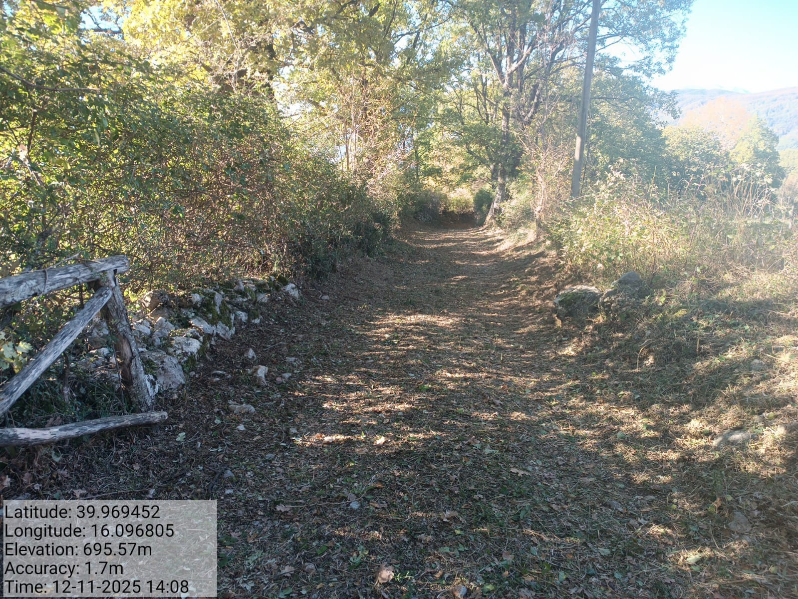 Galleria Fotografica Immagine