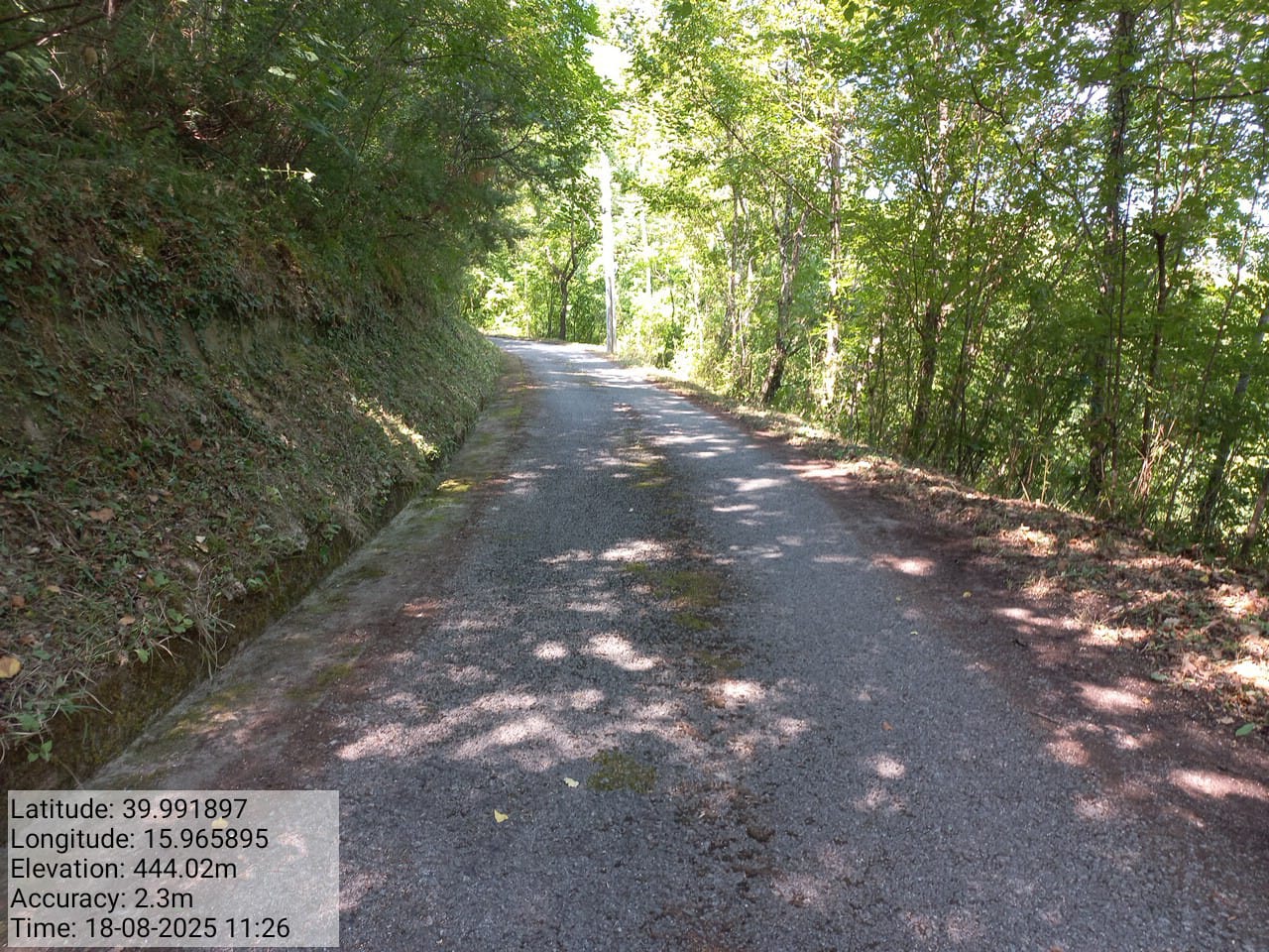 Galleria Fotografica Immagine