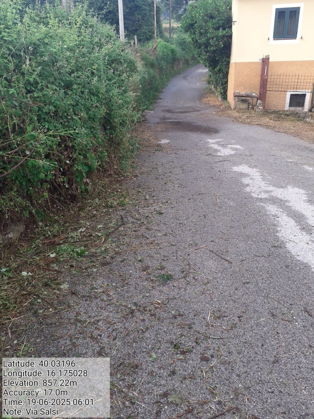 Galleria Fotografica Immagine