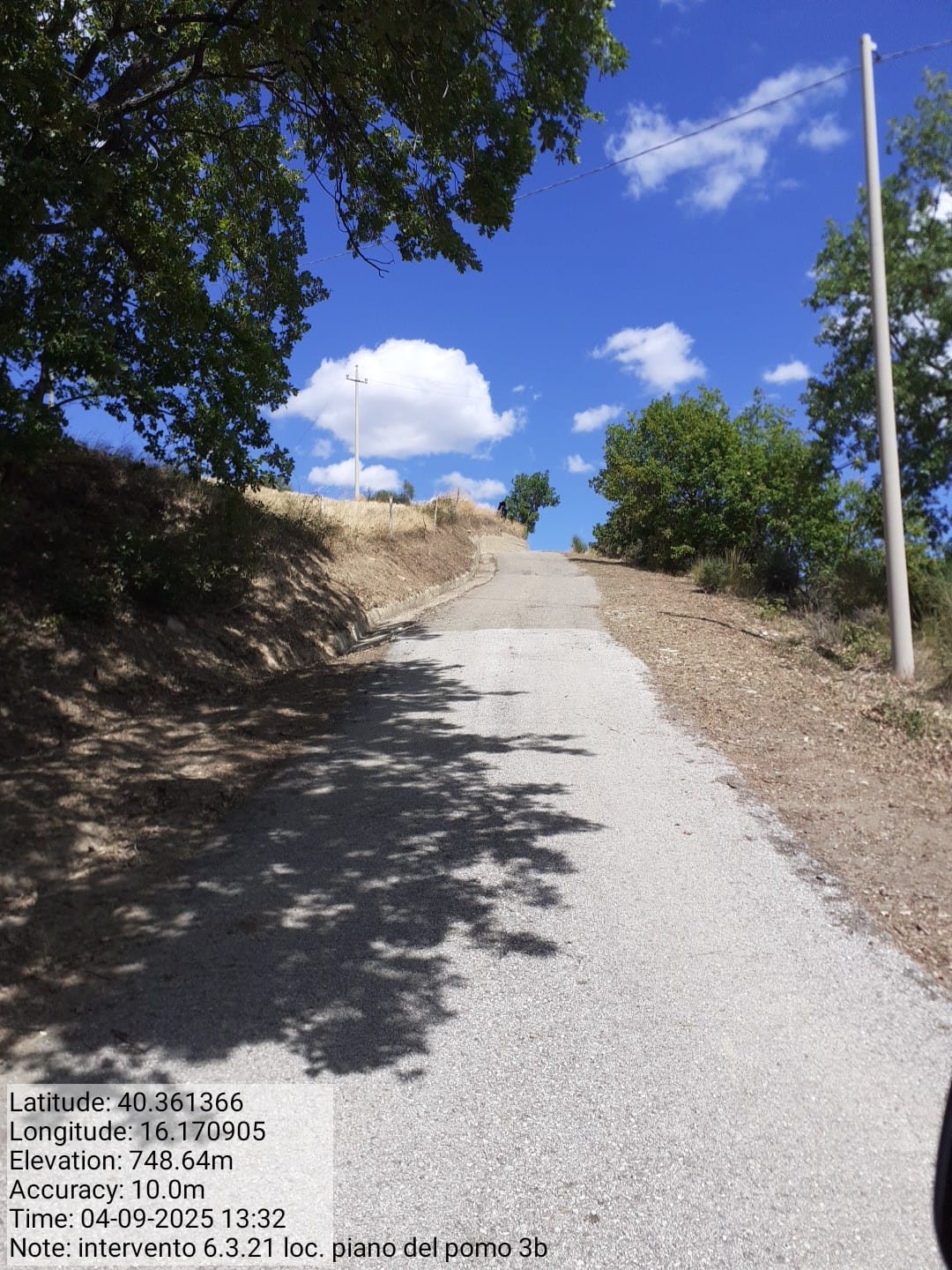 Galleria Fotografica Immagine