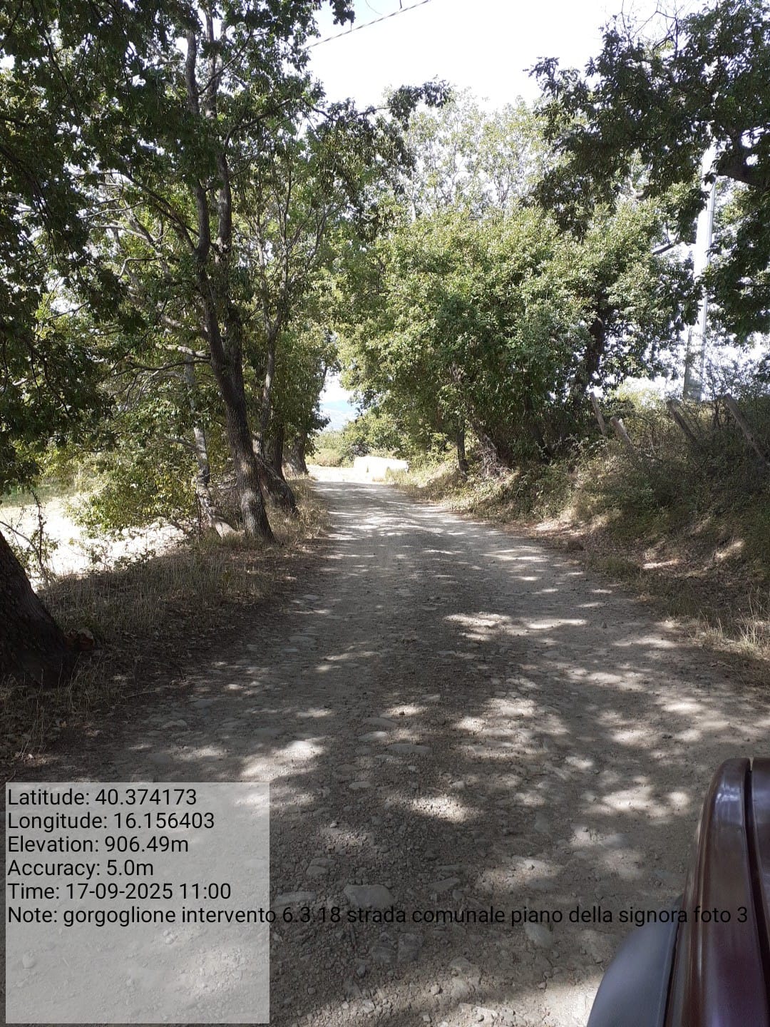 Galleria Fotografica Immagine