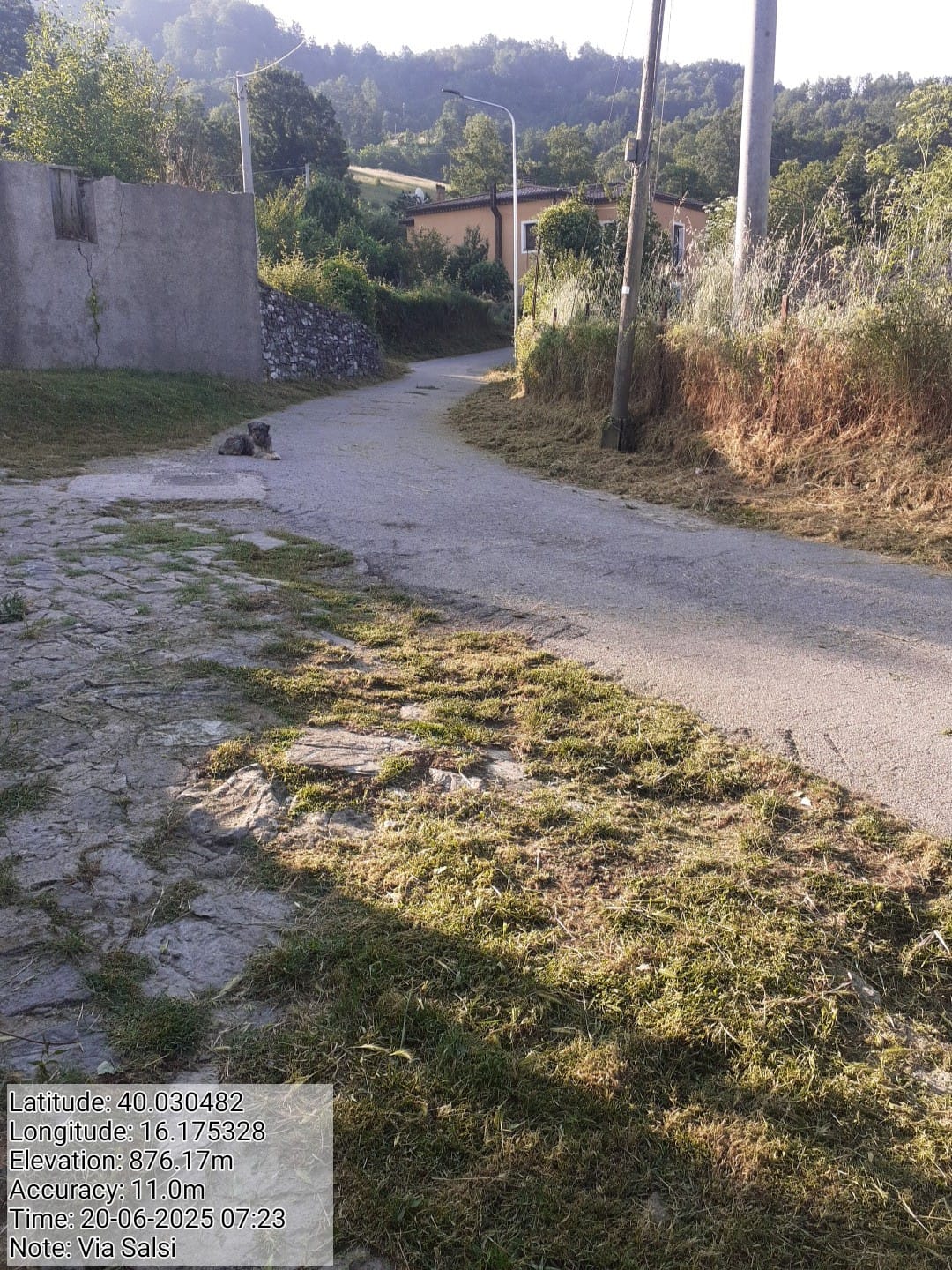 Galleria Fotografica Immagine