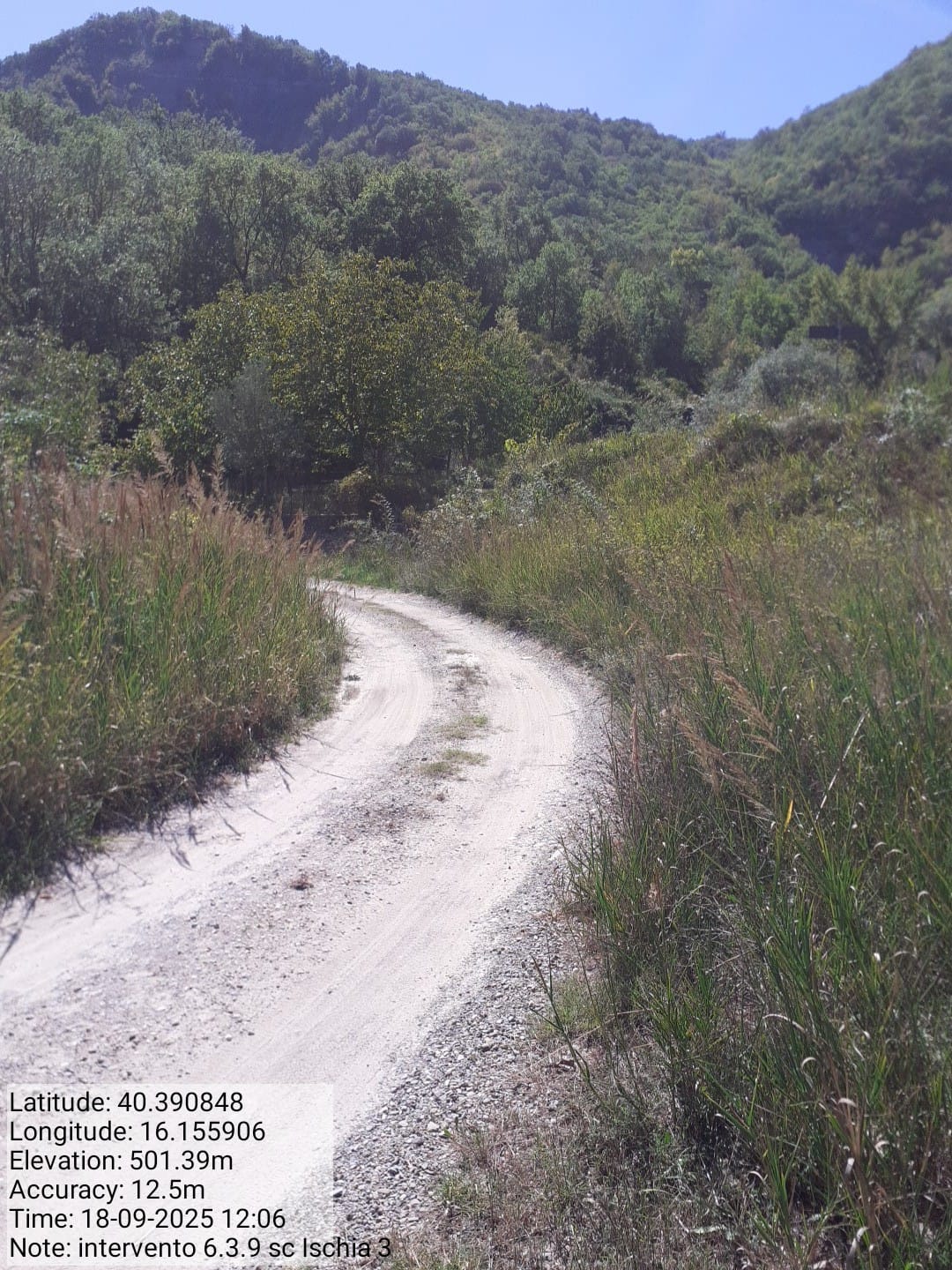 Galleria Fotografica Immagine