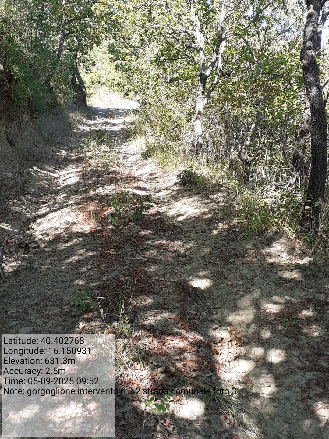 Galleria Fotografica Immagine