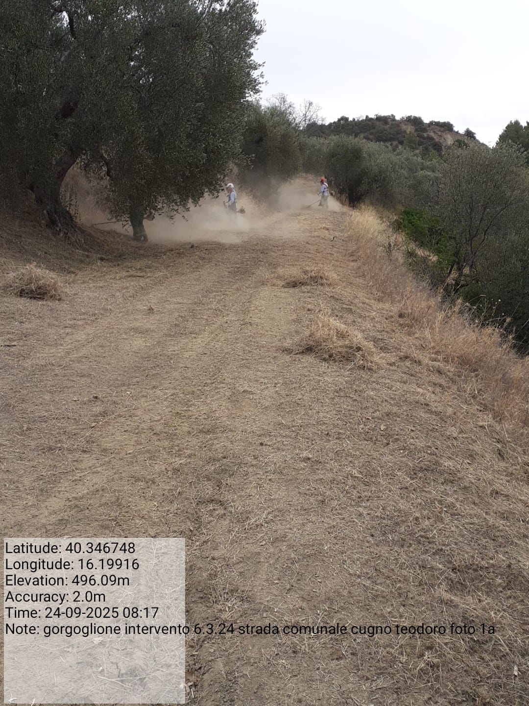 Galleria Fotografica Immagine