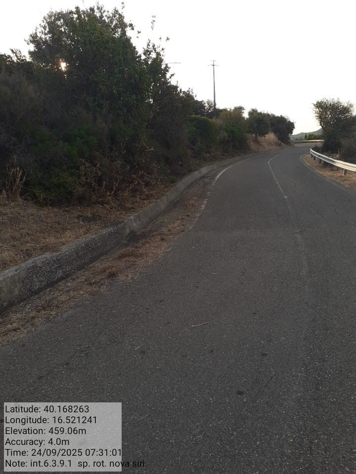 Galleria Fotografica Immagine