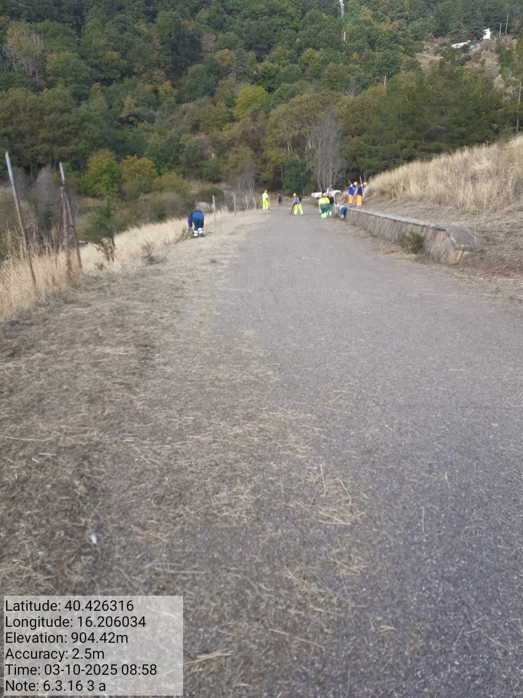 Galleria Fotografica Immagine