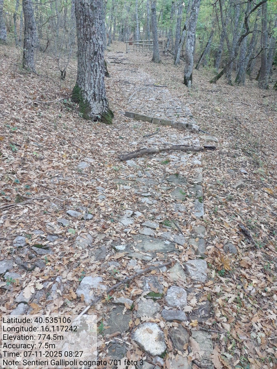 Galleria Fotografica Immagine