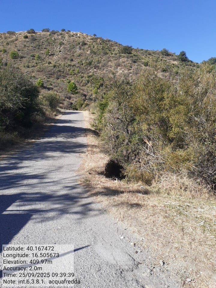 Galleria Fotografica Immagine