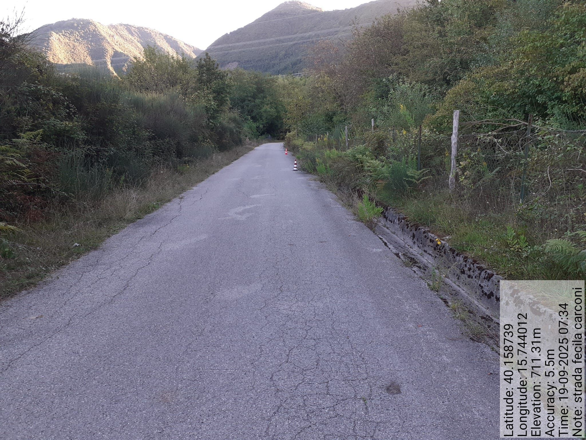 Galleria Fotografica Immagine