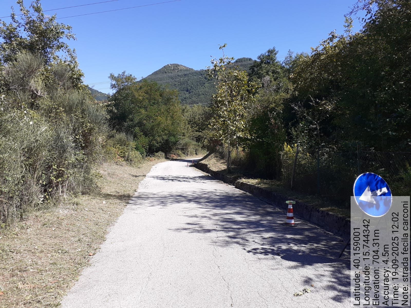 Galleria Fotografica Immagine