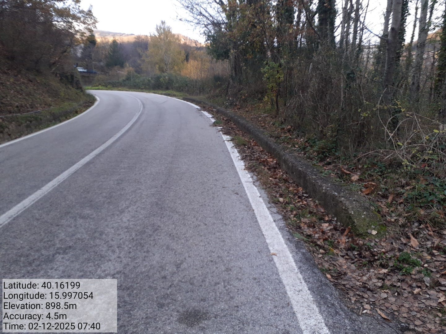 Galleria Fotografica Immagine