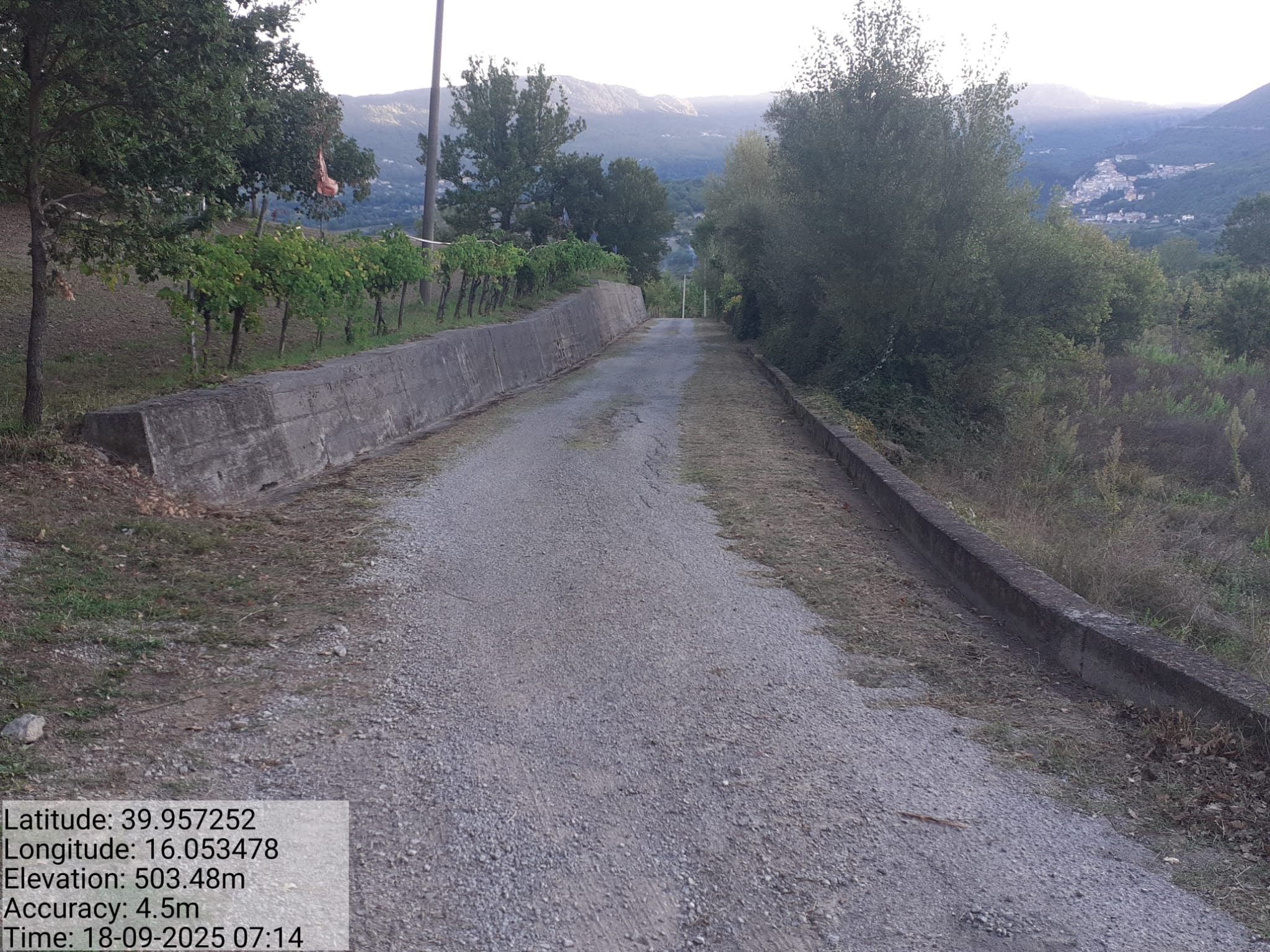 Galleria Fotografica Immagine