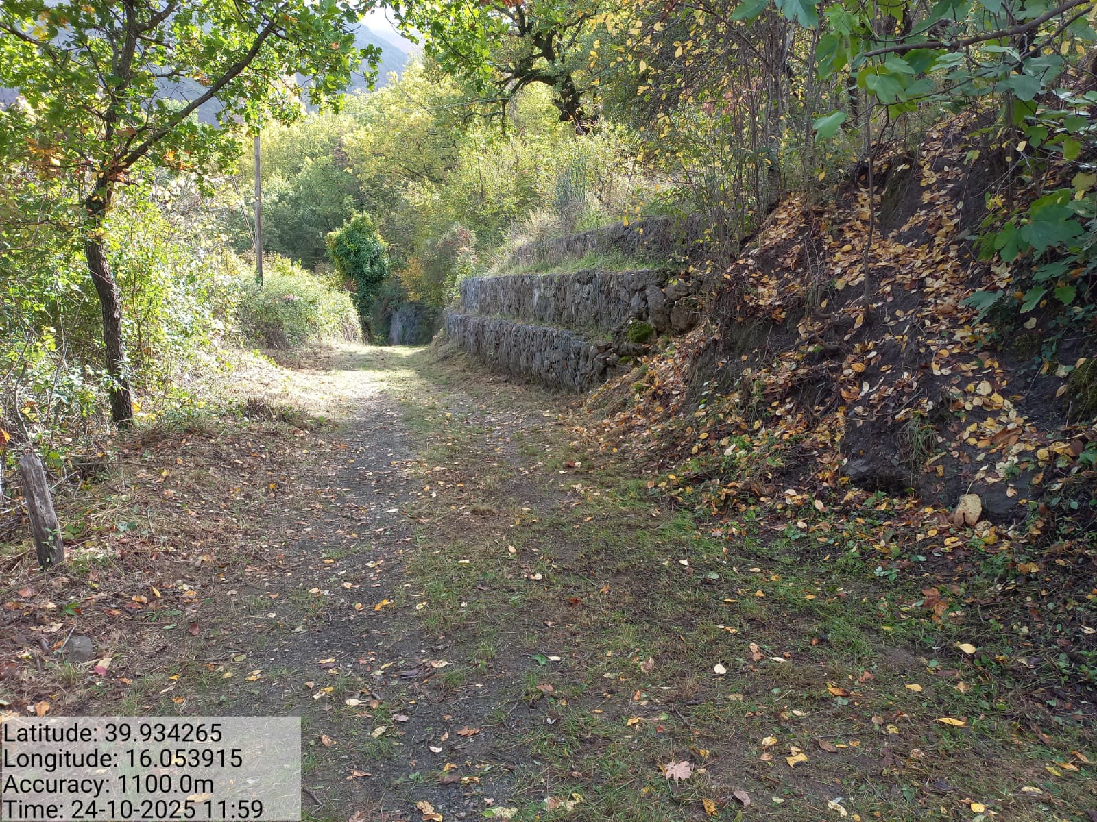 Galleria Fotografica Immagine