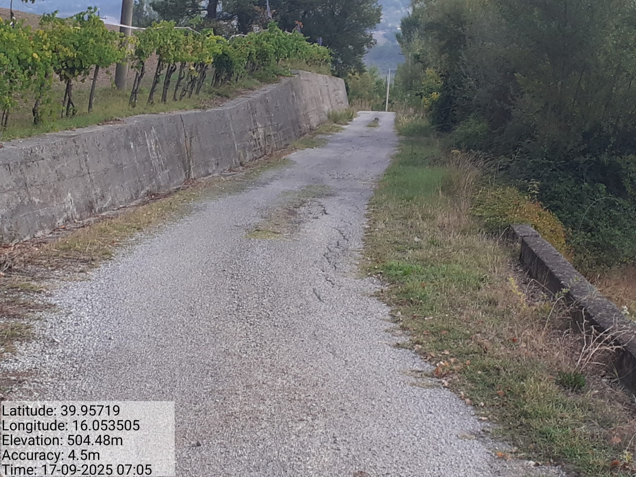 Galleria Fotografica Immagine