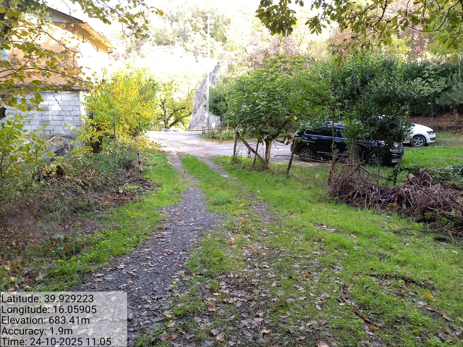 Galleria Fotografica Immagine