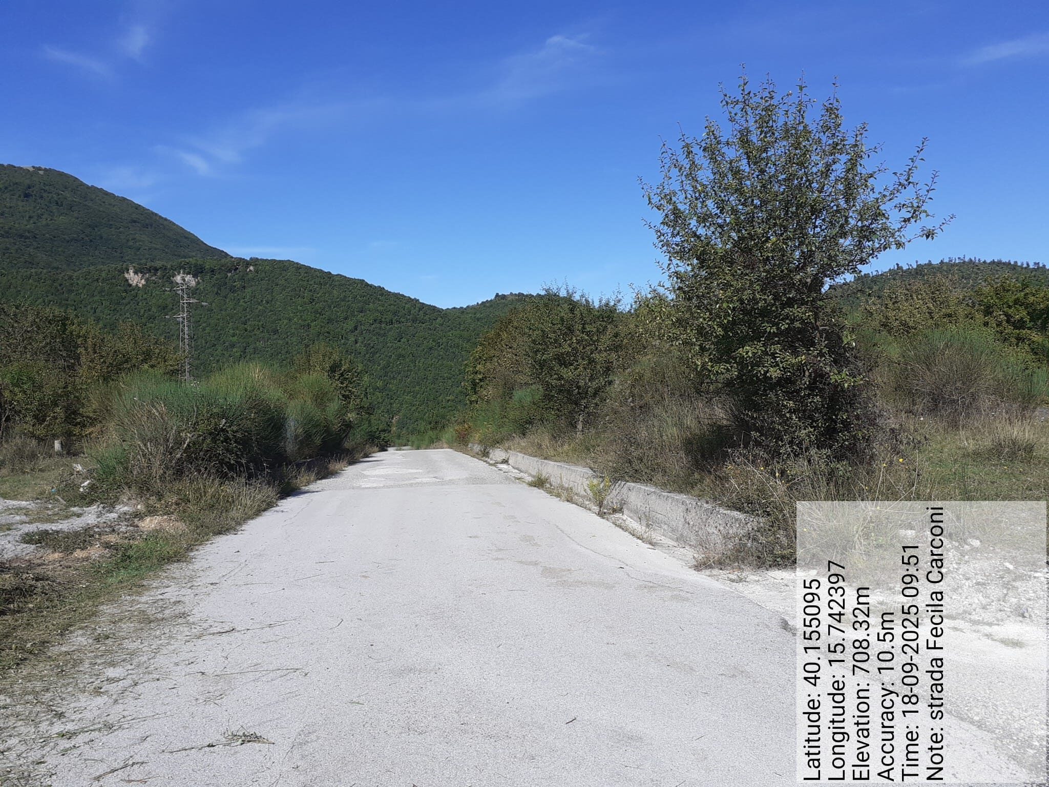 Galleria Fotografica Immagine