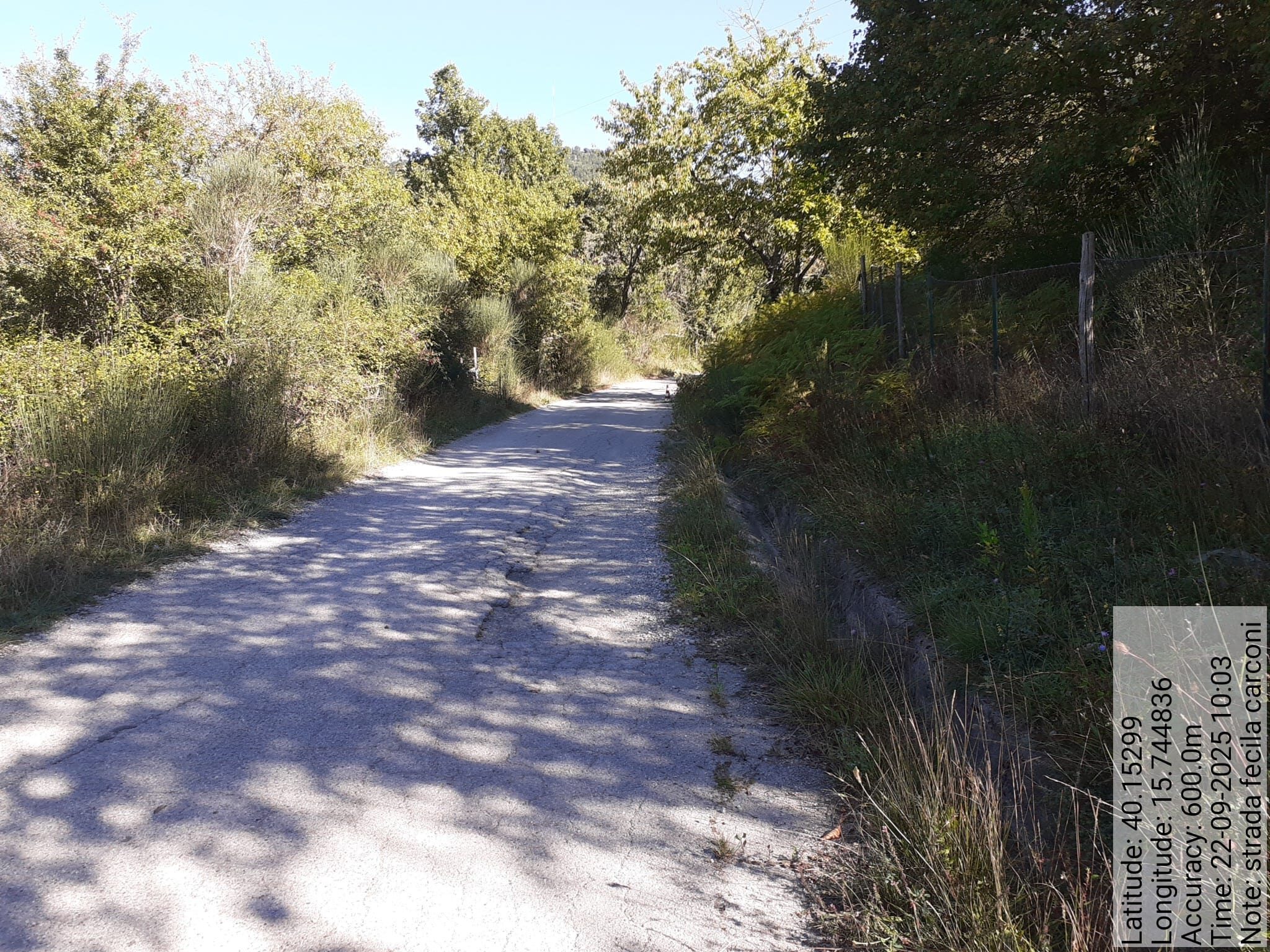 Galleria Fotografica Immagine