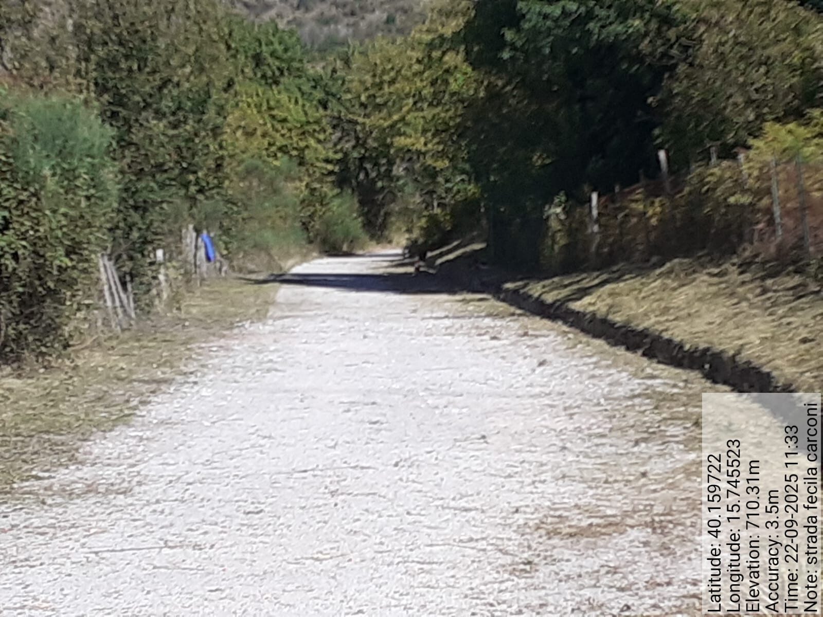 Galleria Fotografica Immagine