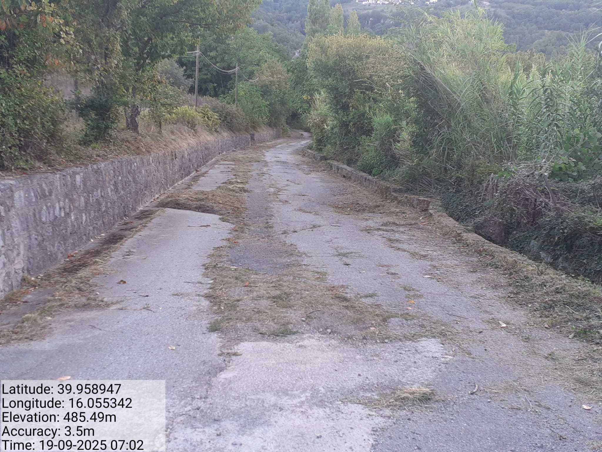 Galleria Fotografica Immagine