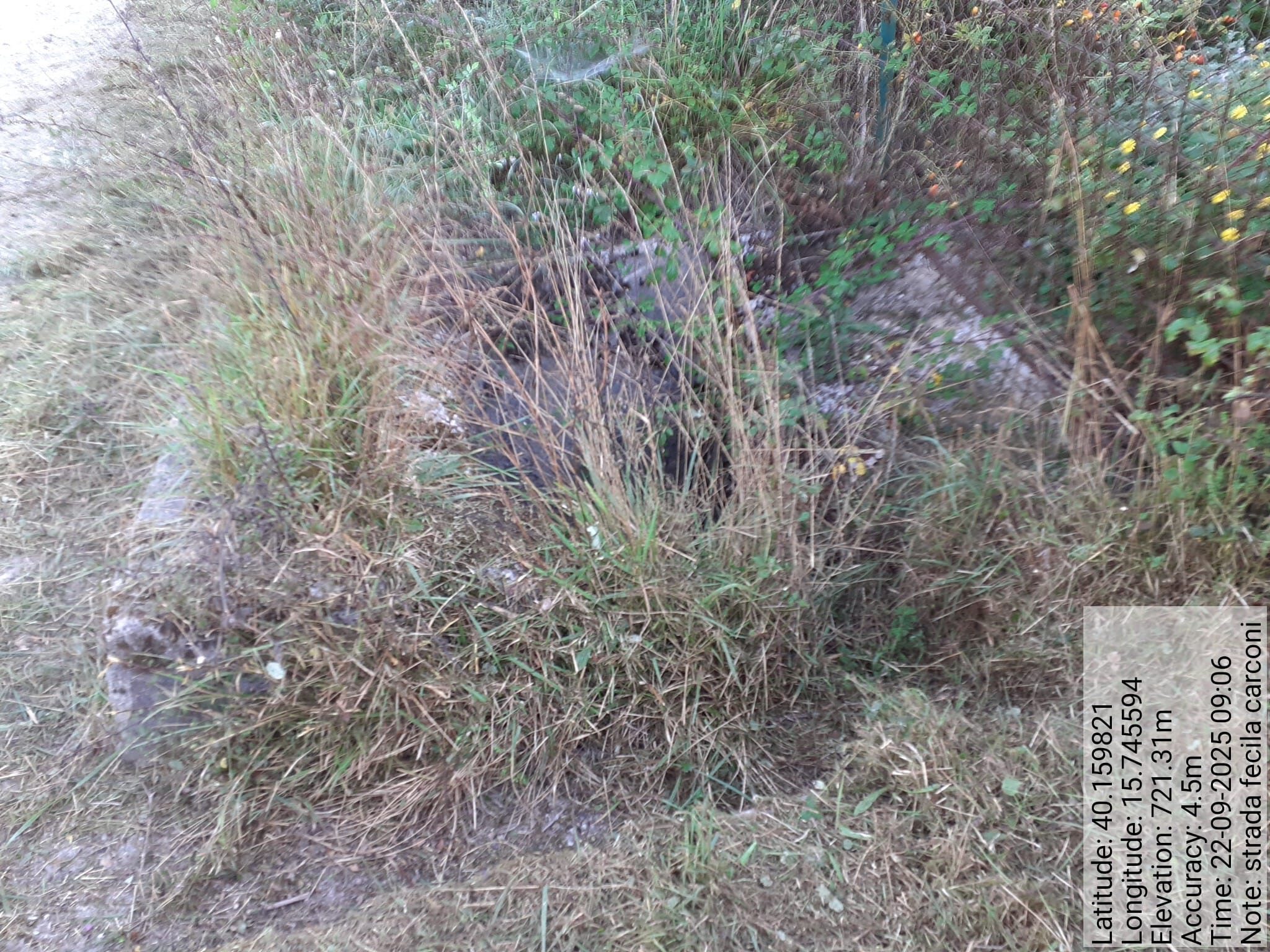 Galleria Fotografica Immagine