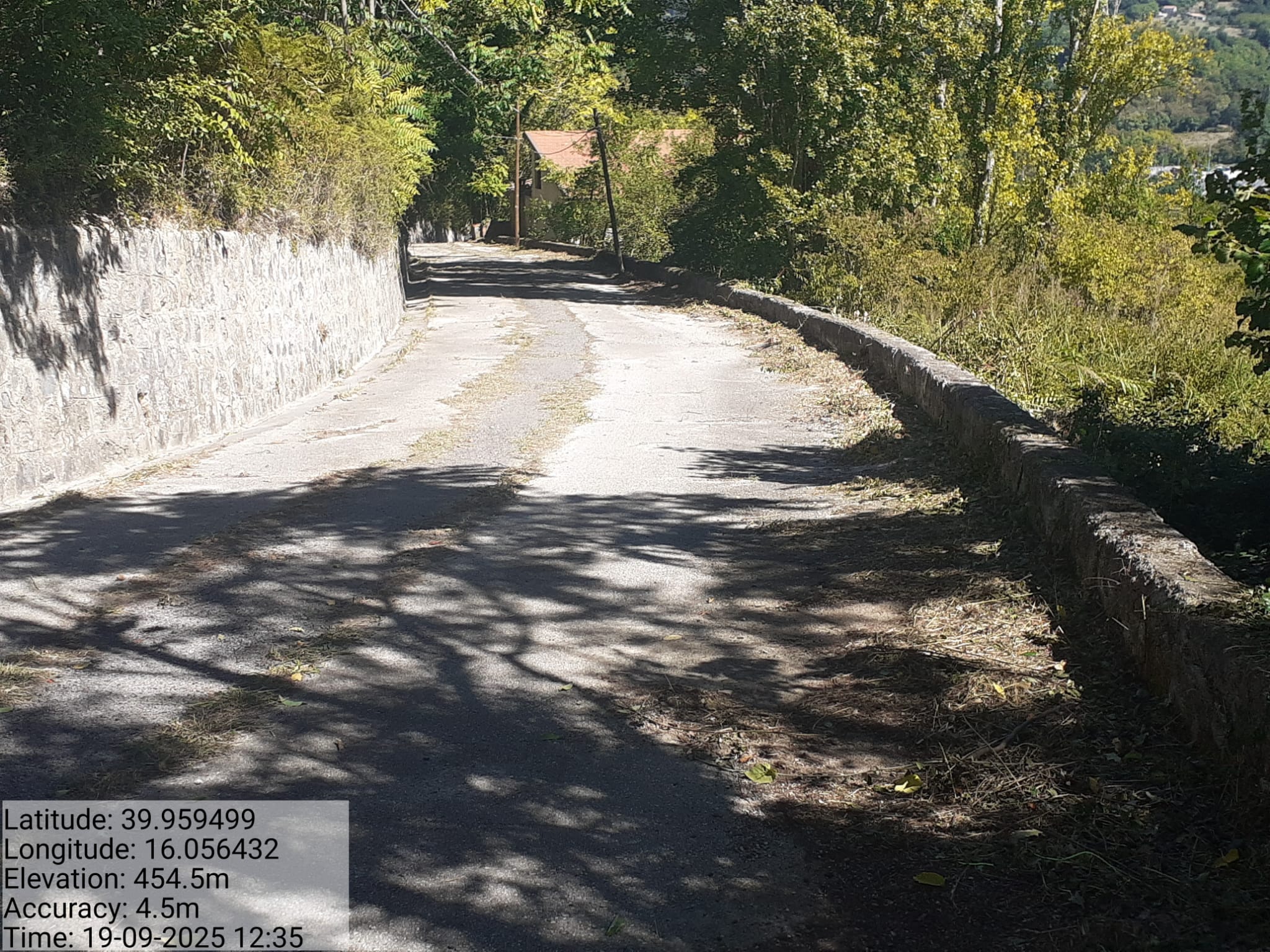 Galleria Fotografica Immagine