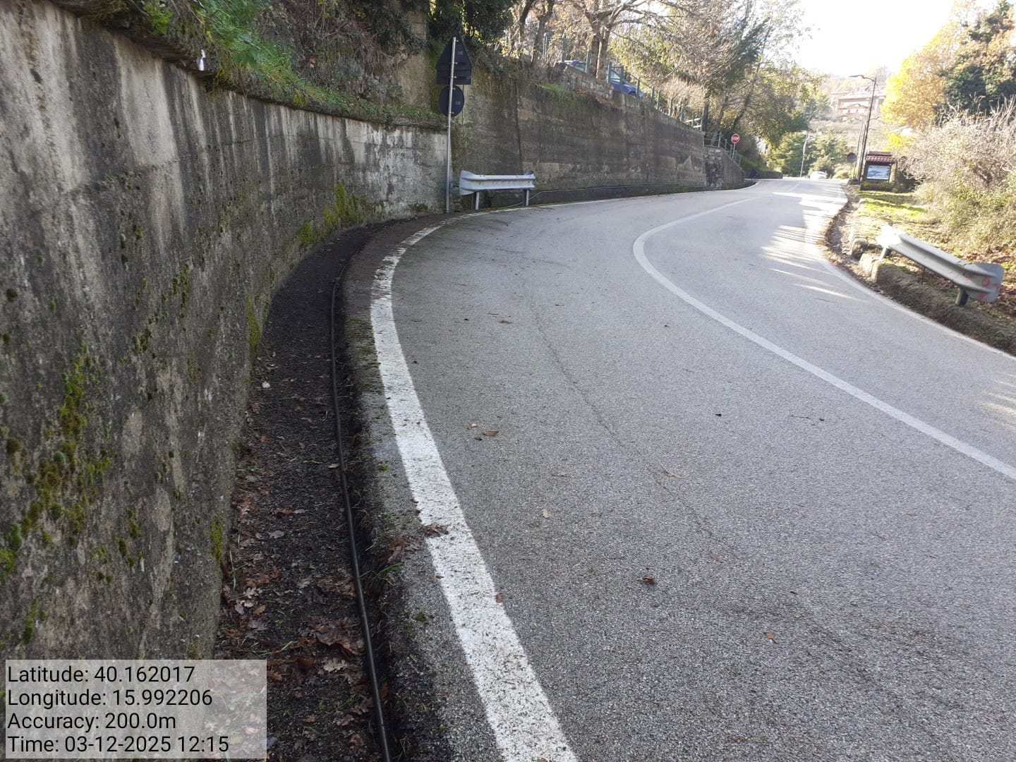 Galleria Fotografica Immagine