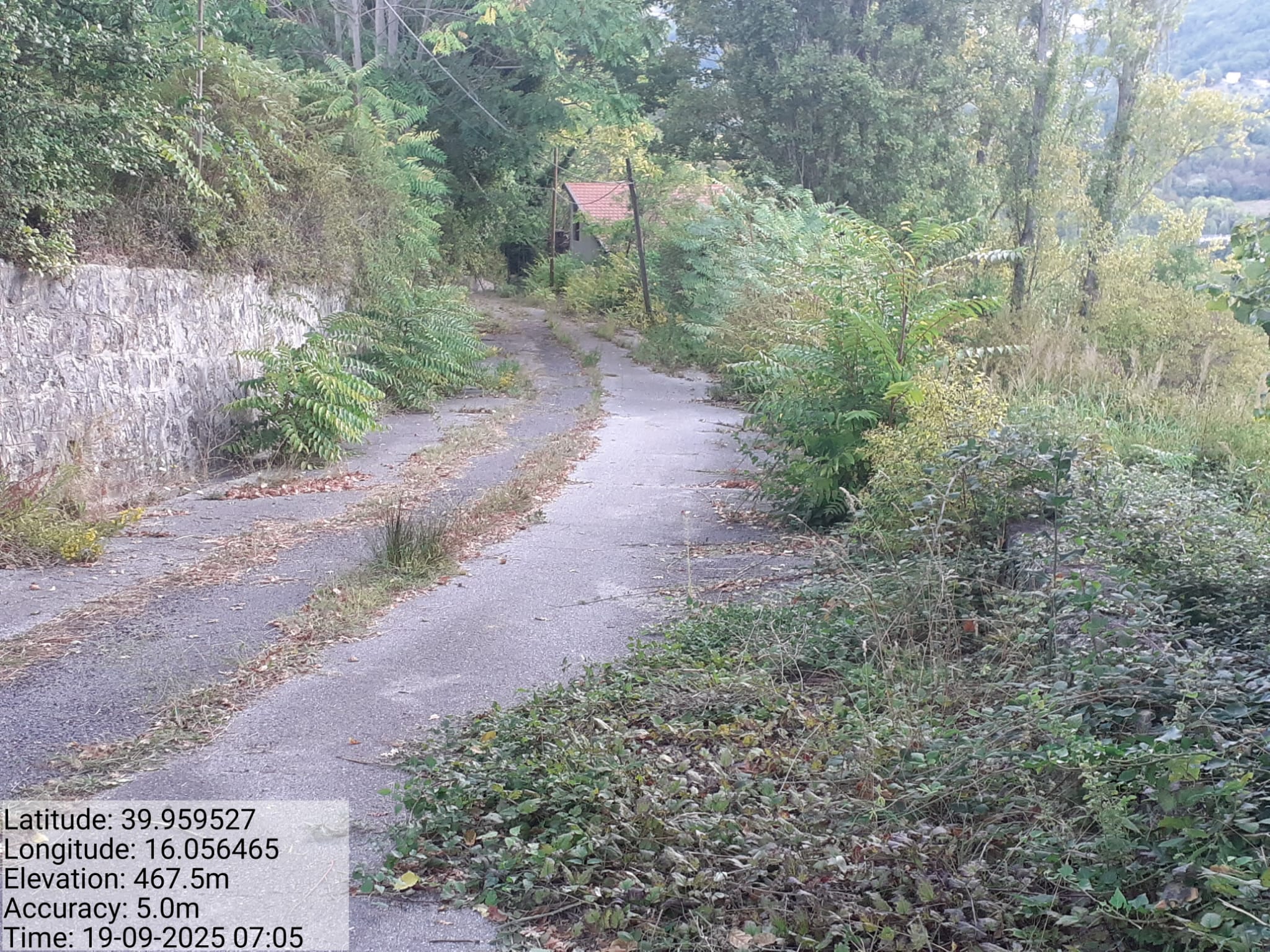 Galleria Fotografica Immagine