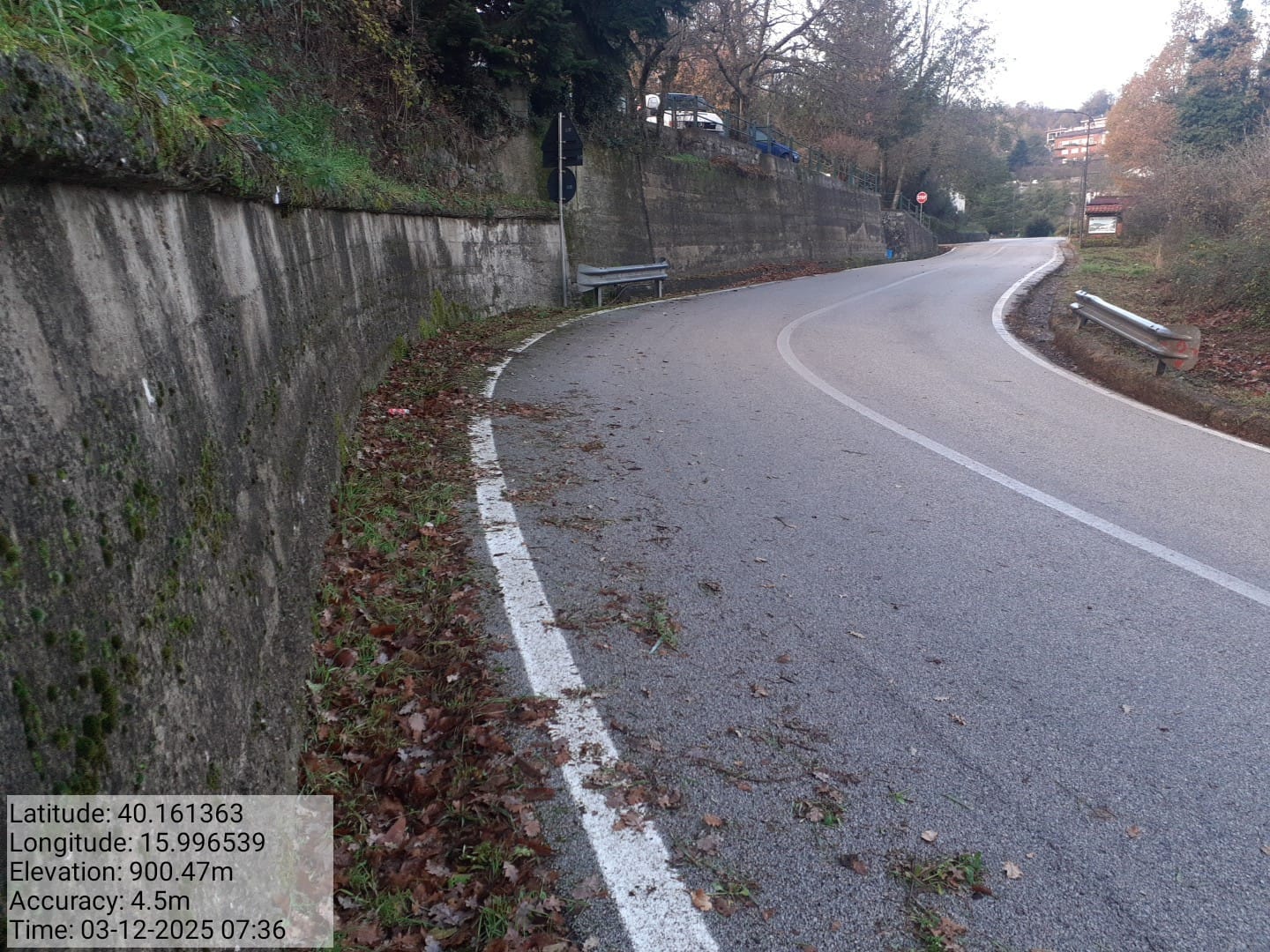 Galleria Fotografica Immagine