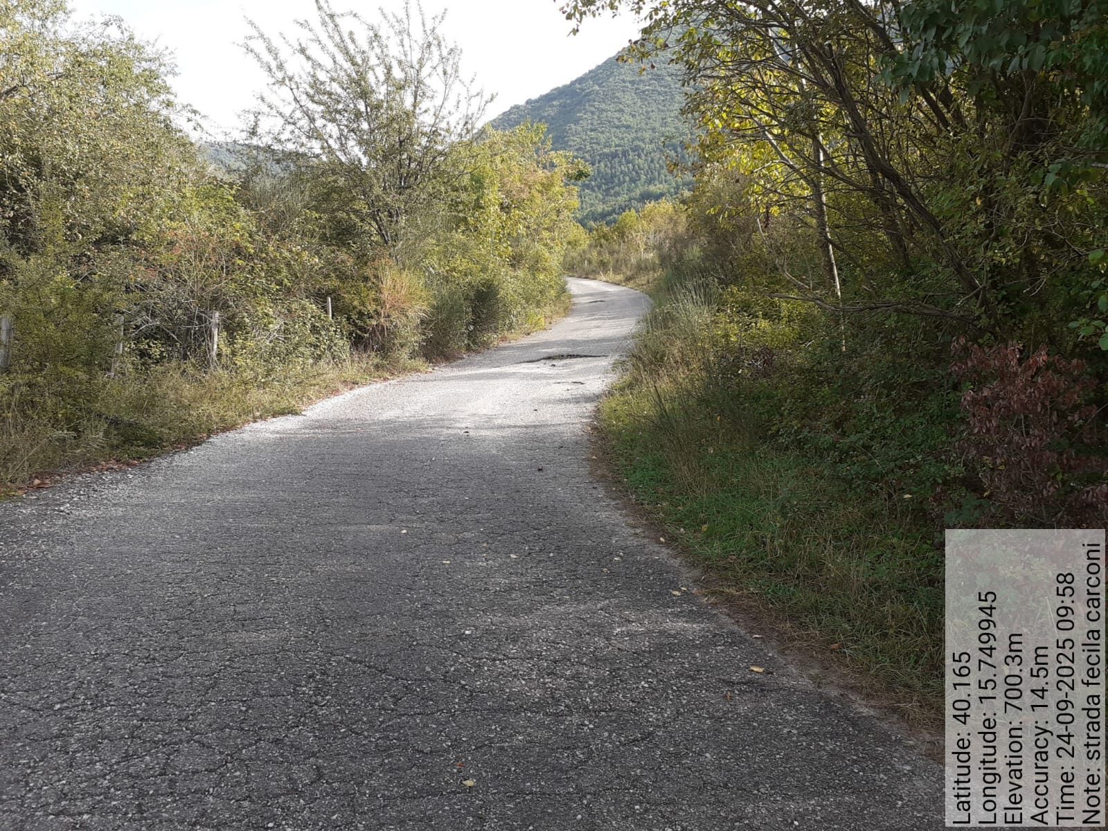 Galleria Fotografica Immagine