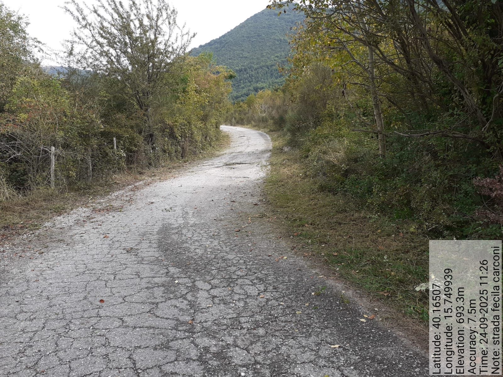 Galleria Fotografica Immagine