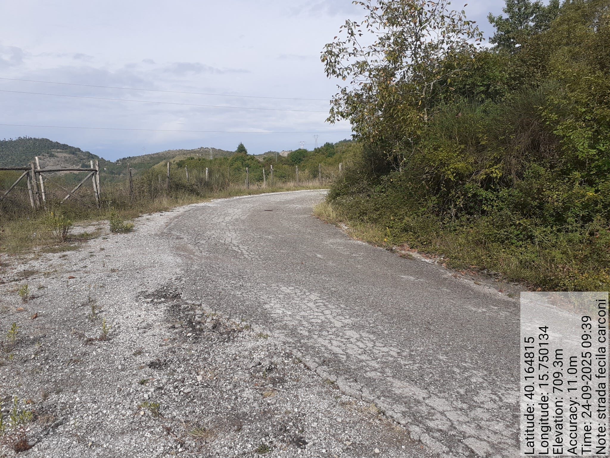 Galleria Fotografica Immagine