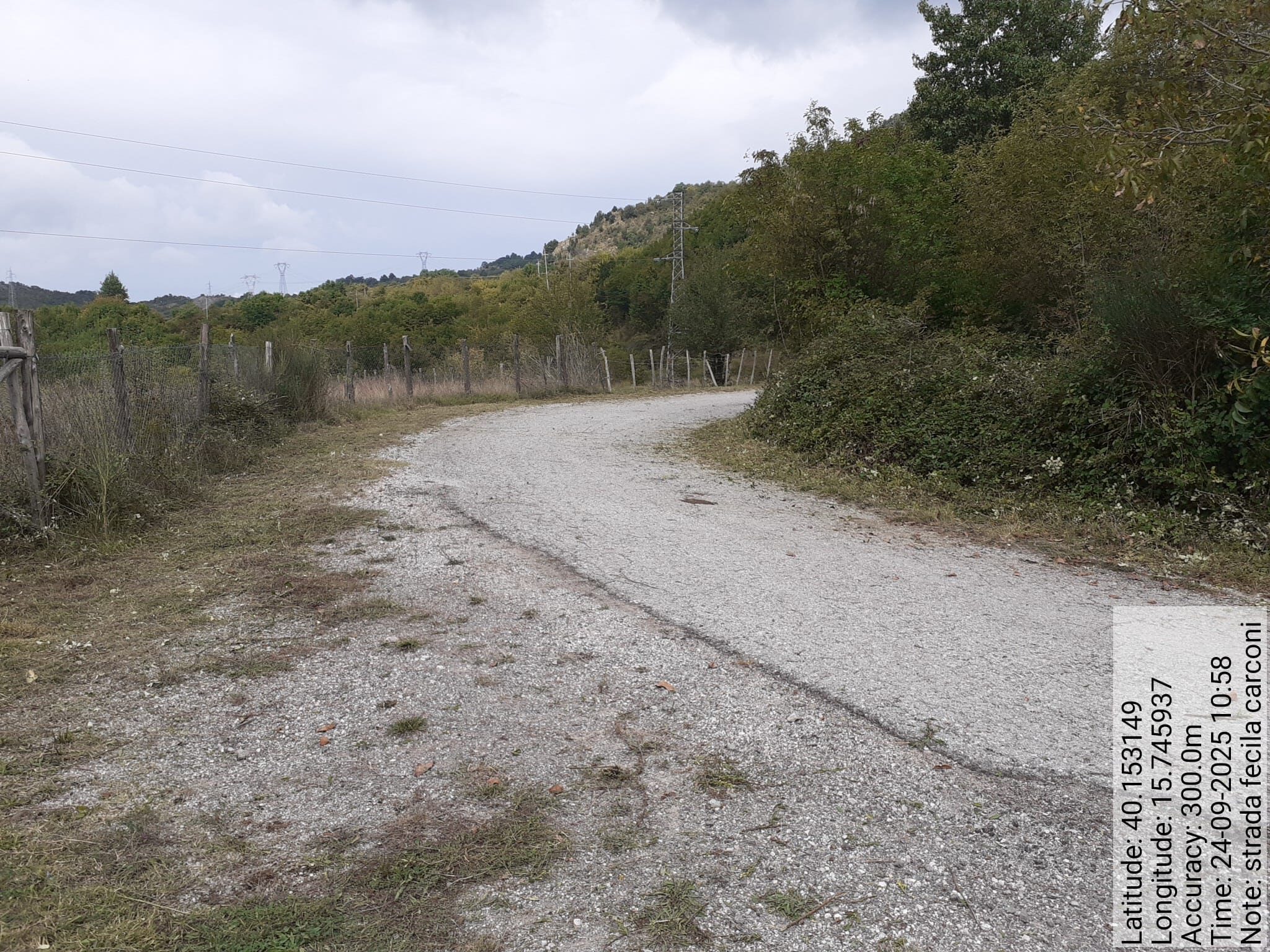 Galleria Fotografica Immagine