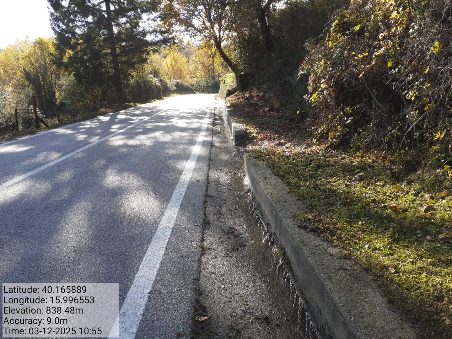 Galleria Fotografica Immagine