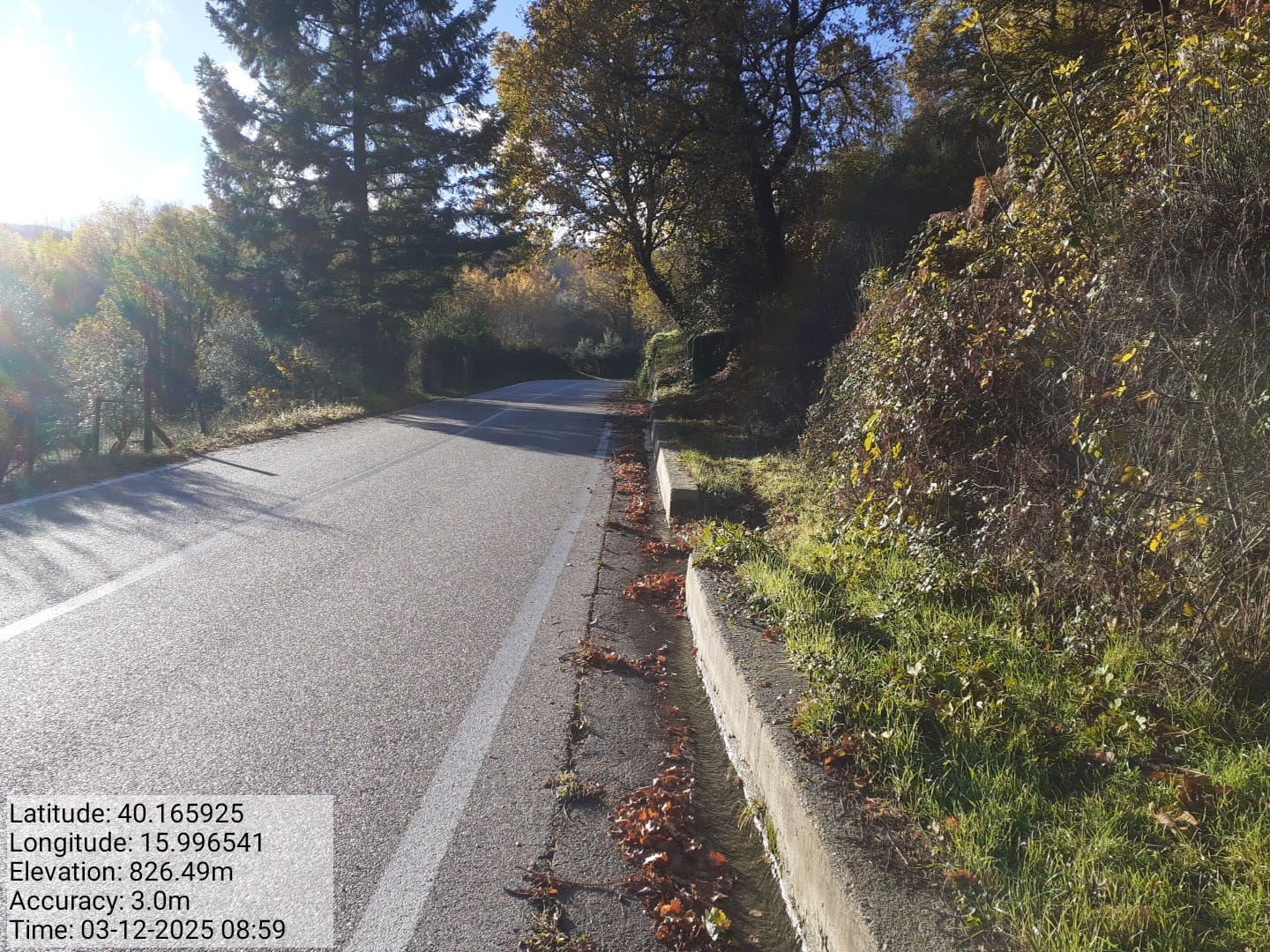 Galleria Fotografica Immagine