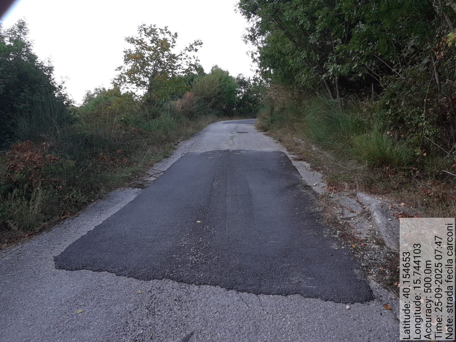 Galleria Fotografica Immagine