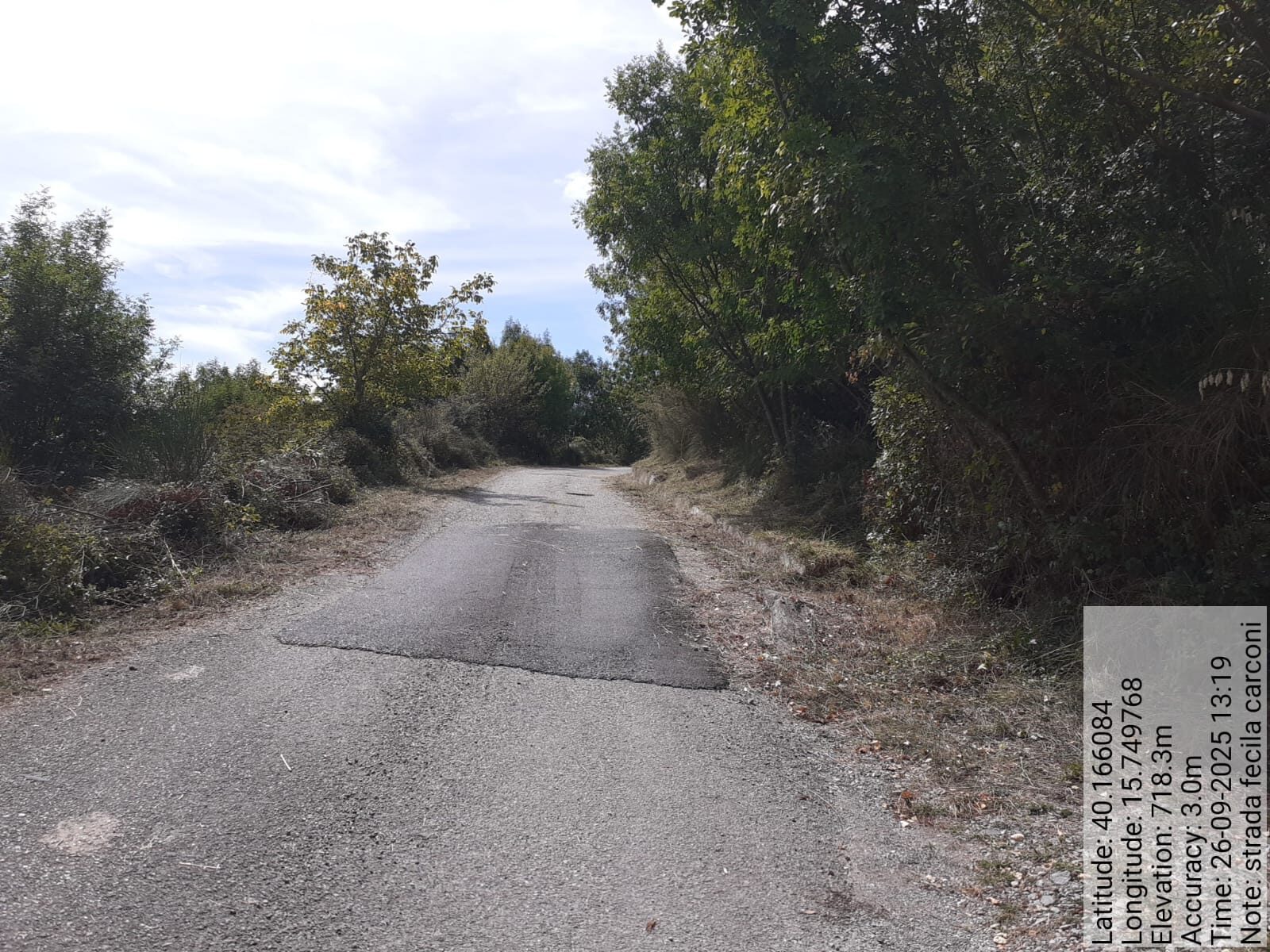 Galleria Fotografica Immagine