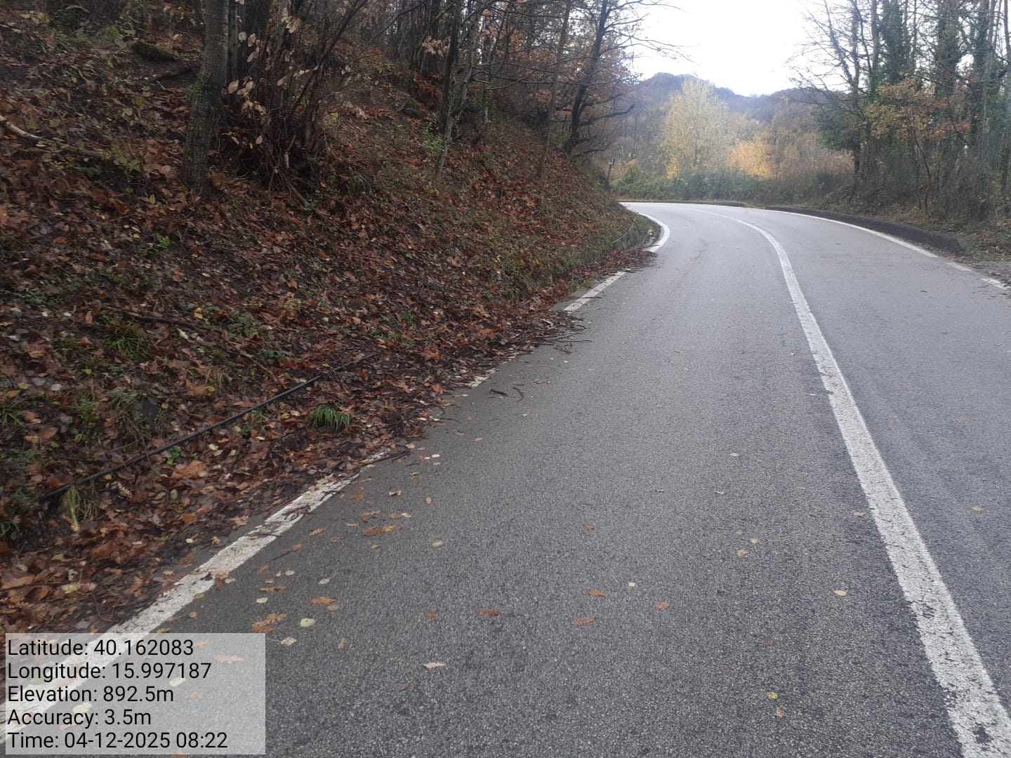 Galleria Fotografica Immagine