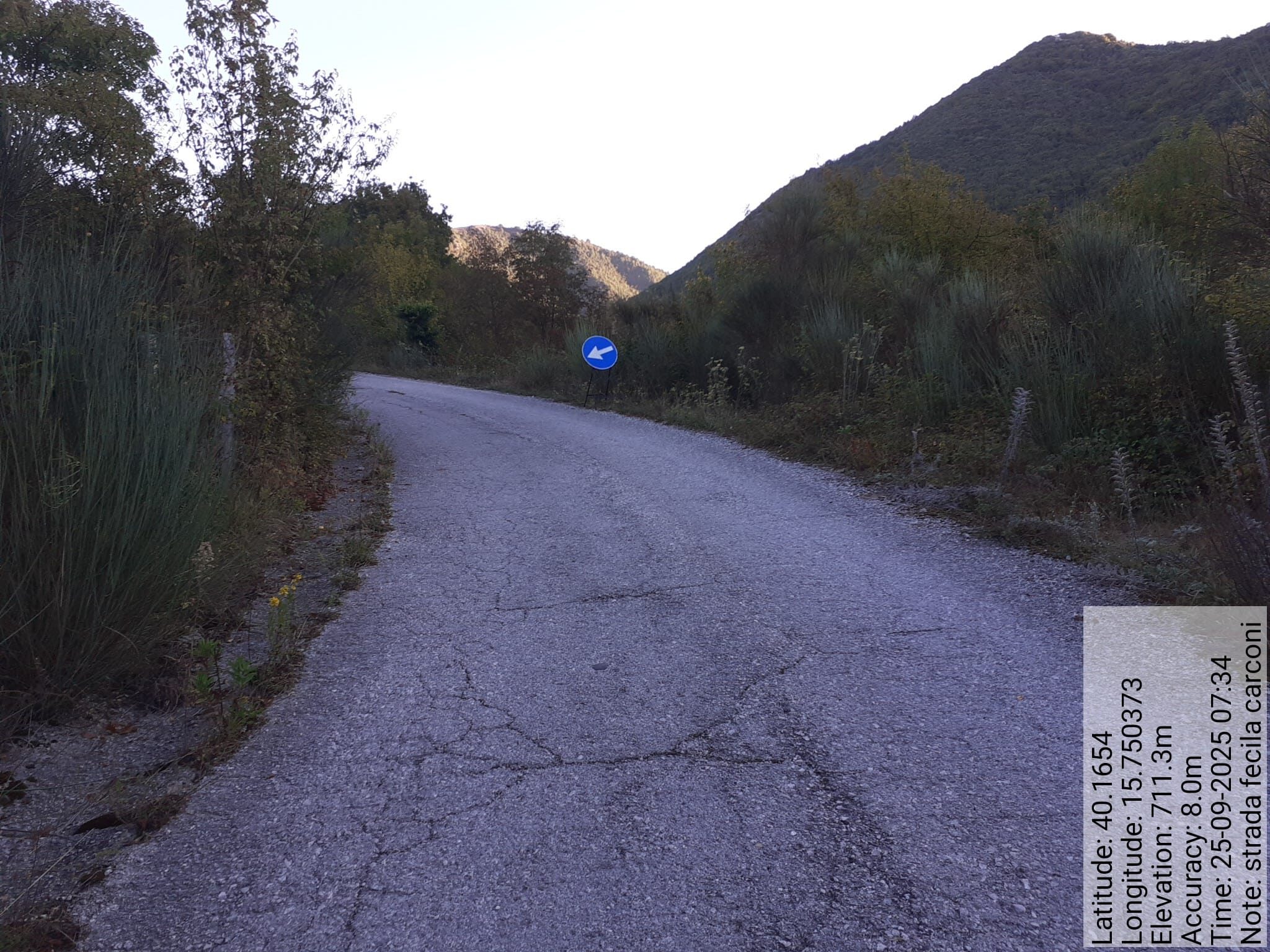 Galleria Fotografica Immagine