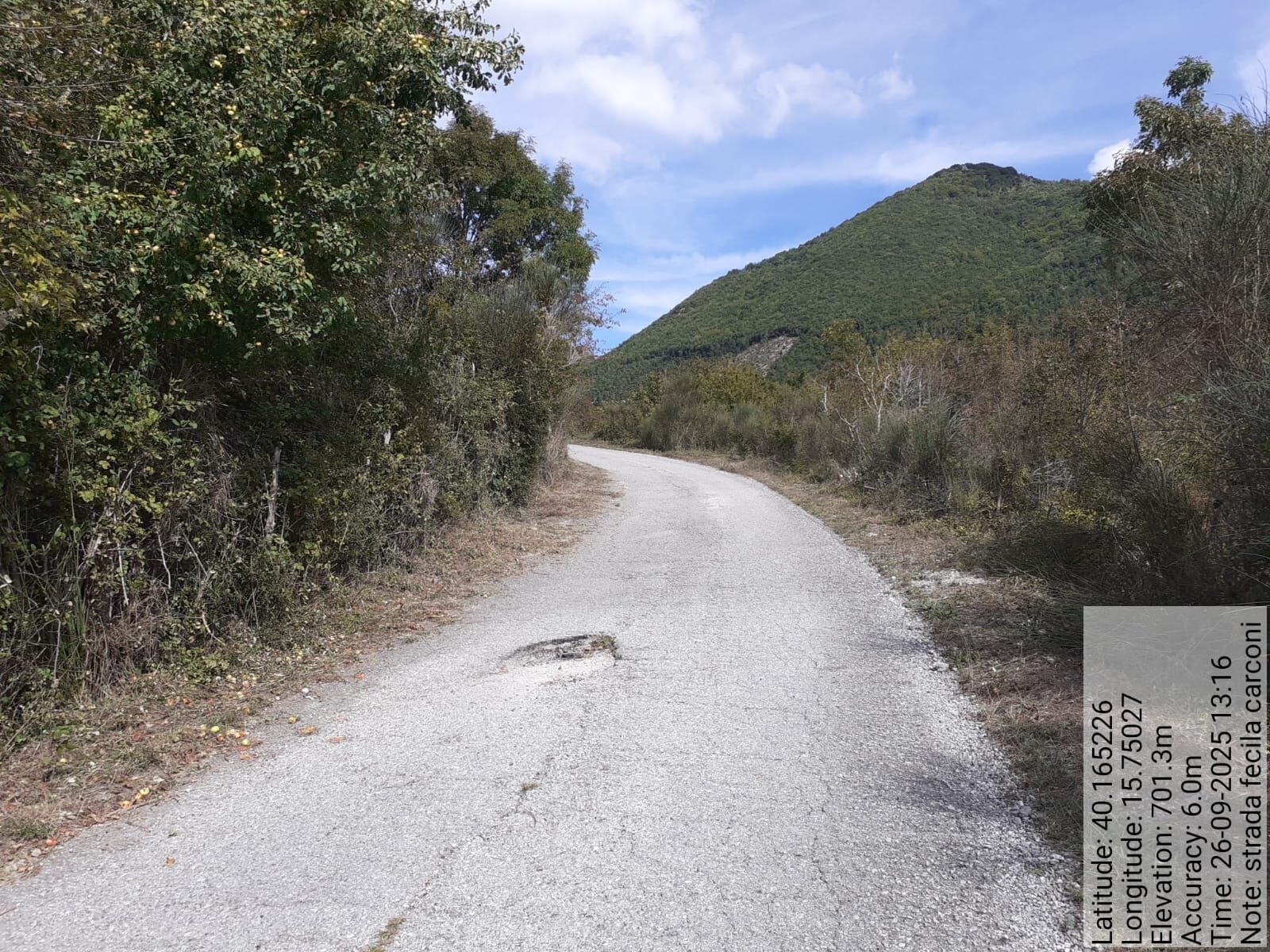 Galleria Fotografica Immagine